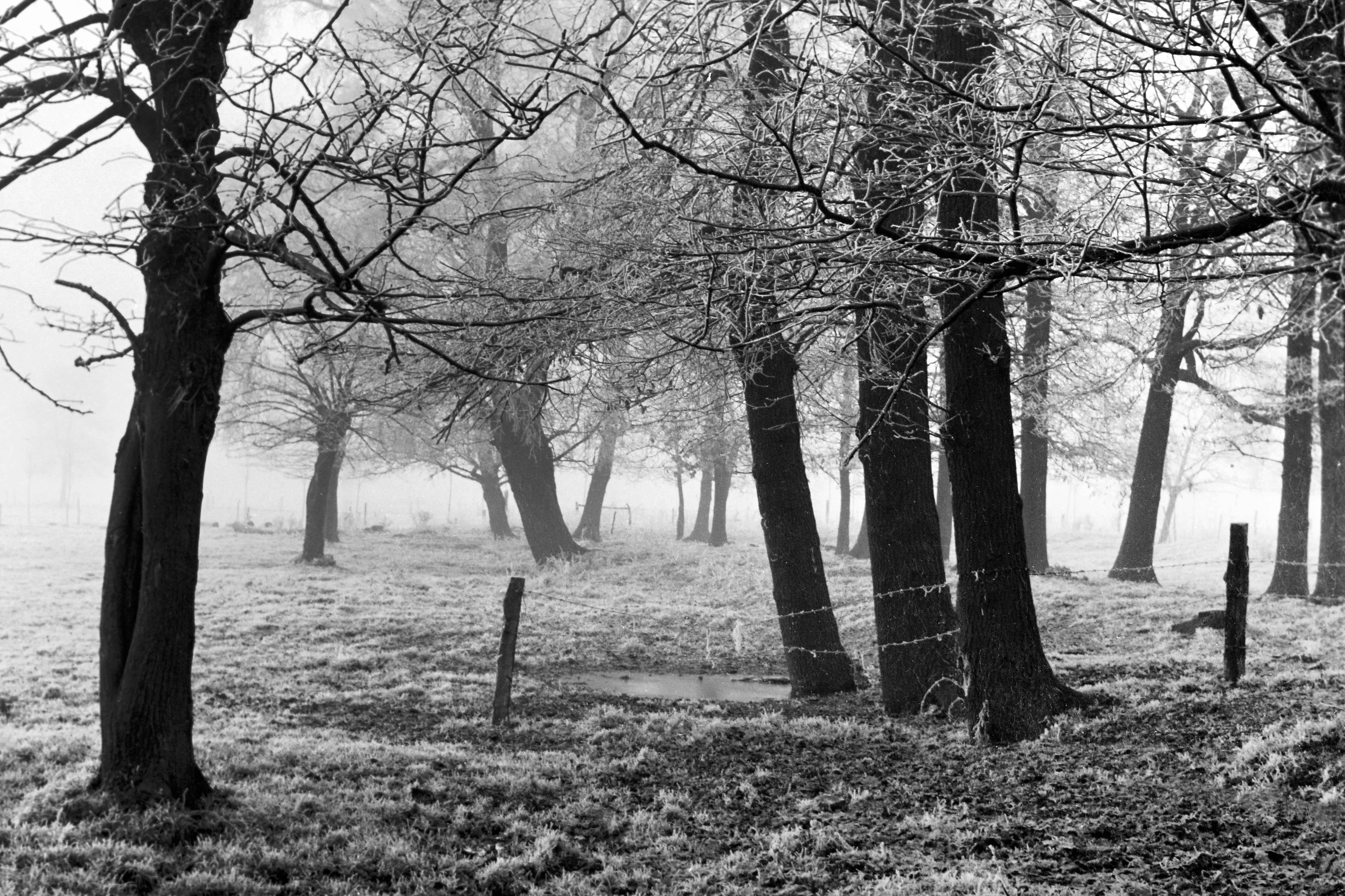 Willi Schloßmacher, Tauwetter, 1954-1960, © Willi Schloßmacher Willi Schloßmacher, Tauwetter, 1954-1960, © Willi Schloßmacher